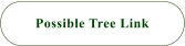 Possible Tree Link
